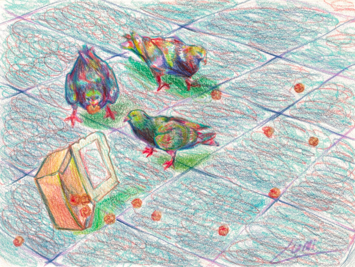 Pigeons in Rundle Mall